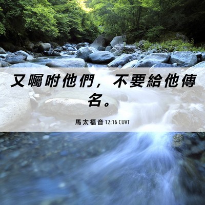 Picture 06 - 馬 太 福 音 12:16 CUVT - 又 囑 咐 他 們 ， 不 要 給 他 傳 名 - Bible Verse Picture