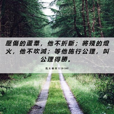Picture 06 - 馬 太 福 音 12:20 CUVT - 壓 傷 的 蘆 葦 ， 他 不 折 斷 ； 將 - Bible Verse Picture