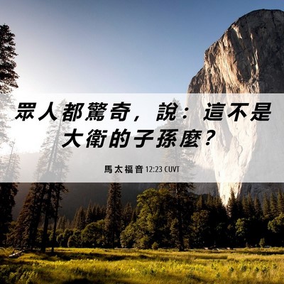 Picture 06 - 馬 太 福 音 12:23 CUVT - 眾 人 都 驚 奇 ， 說 ： 這 不 是 大 - Bible Verse Picture