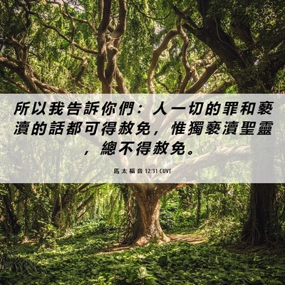 Picture 06 - 馬 太 福 音 12:31 CUVT - 所 以 我 告 訴 你 們 ： 人 一 切 的 - Bible Verse Picture
