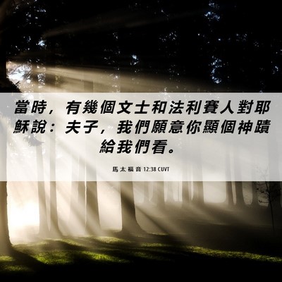 Picture 06 - 馬 太 福 音 12:38 CUVT - 當 時 ， 有 幾 個 文 士 和 法 利 賽 - Bible Verse Picture
