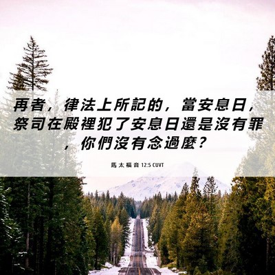 Picture 06 - 馬 太 福 音 12:5 CUVT - 再 者 ， 律 法 上 所 記 的 ， 當 安 - Bible Verse Picture