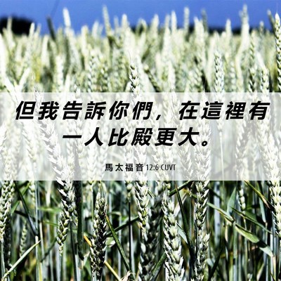 Picture 06 - 馬 太 福 音 12:6 CUVT - 但 我 告 訴 你 們 ， 在 這 裡 有 一 - Bible Verse Picture