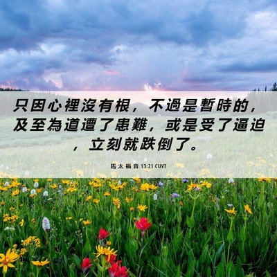 Picture 06 - 馬 太 福 音 13:21 CUVT - 只 因 心 裡 沒 有 根 ， 不 過 是 暫 - Bible Verse Picture