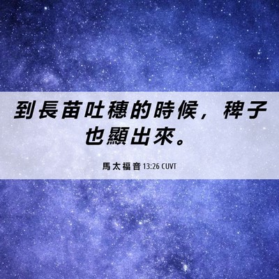 Picture 06 - 馬 太 福 音 13:26 CUVT - 到 長 苗 吐 穗 的 時 候 ， 稗 子 也 - Bible Verse Picture