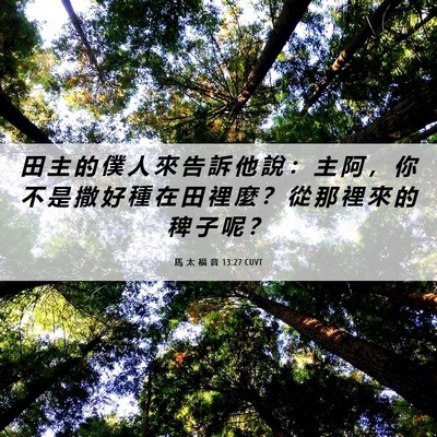 Picture 06 - 馬 太 福 音 13:27 CUVT - 田 主 的 僕 人 來 告 訴 他 說 ： 主 - Bible Verse Picture