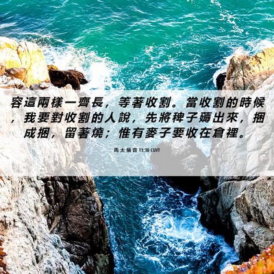 Picture 06 - 馬 太 福 音 13:30 CUVT - 容 這 兩 樣 一 齊 長 ， 等 著 收 割 - Bible Verse Picture