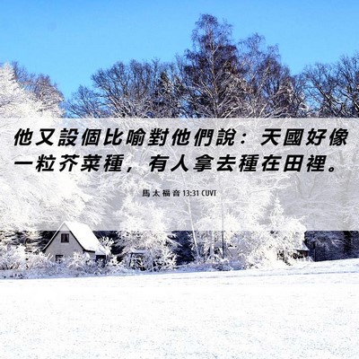 Picture 06 - 馬 太 福 音 13:31 CUVT - 他 又 設 個 比 喻 對 他 們 說 ： 天 - Bible Verse Picture