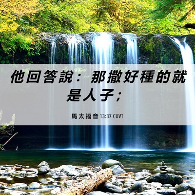 Picture 06 - 馬 太 福 音 13:37 CUVT - 他 回 答 說 ： 那 撒 好 種 的 就 是 - Bible Verse Picture