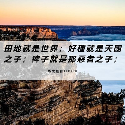 Picture 06 - 馬 太 福 音 13:38 CUVT - 田 地 就 是 世 界 ； 好 種 就 是 天 - Bible Verse Picture