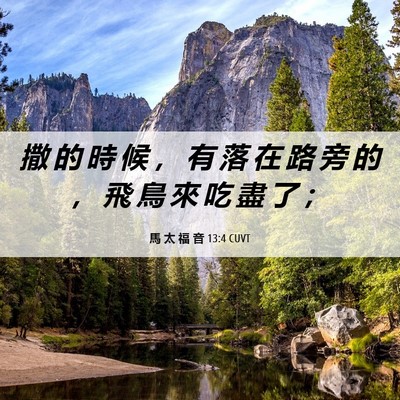 Picture 06 - 馬 太 福 音 13:4 CUVT - 撒 的 時 候 ， 有 落 在 路 旁 的 ， - Bible Verse Picture