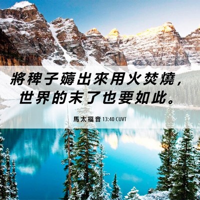Picture 06 - 馬 太 福 音 13:40 CUVT - 將 稗 子 薅 出 來 用 火 焚 燒 ， 世 - Bible Verse Picture