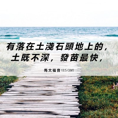 Picture 06 - 馬 太 福 音 13:5 CUVT - 有 落 在 土 淺 石 頭 地 上 的 ， 土 - Bible Verse Picture