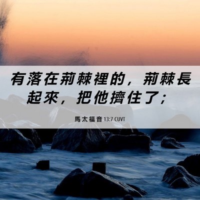 Picture 06 - 馬 太 福 音 13:7 CUVT - 有 落 在 荊 棘 裡 的 ， 荊 棘 長 起 - Bible Verse Picture