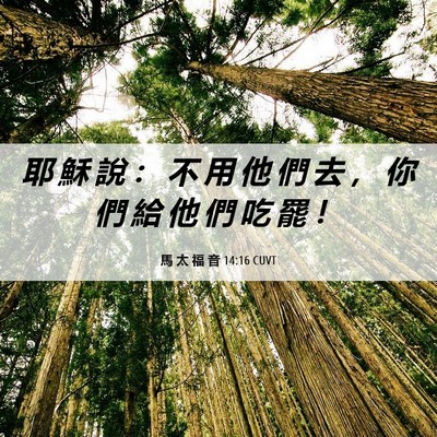 Picture 06 - 馬 太 福 音 14:16 CUVT - 耶 穌 說 ： 不 用 他 們 去 ， 你 們 - Bible Verse Picture