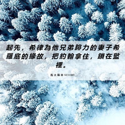 Picture 06 - 馬 太 福 音 14:3 CUVT - 起 先 ， 希 律 為 他 兄 弟 腓 力 的 - Bible Verse Picture