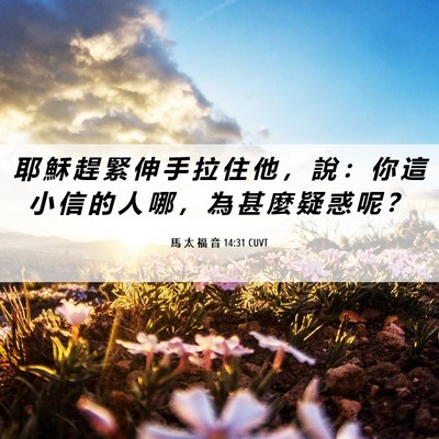 Picture 06 - 馬 太 福 音 14:31 CUVT - 耶 穌 趕 緊 伸 手 拉 住 他 ， 說 ： - Bible Verse Picture