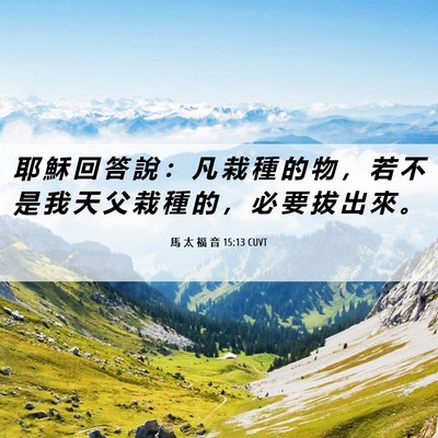Picture 06 - 馬 太 福 音 15:13 CUVT - 耶 穌 回 答 說 ： 凡 栽 種 的 物 ， - Bible Verse Picture