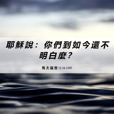 Picture 06 - 馬 太 福 音 15:16 CUVT - 耶 穌 說 ： 你 們 到 如 今 還 不 明 - Bible Verse Picture