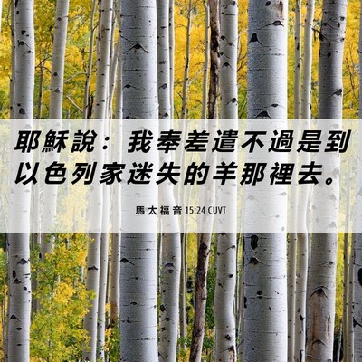 Picture 06 - 馬 太 福 音 15:24 CUVT - 耶 穌 說 ： 我 奉 差 遣 不 過 是 到 - Bible Verse Picture