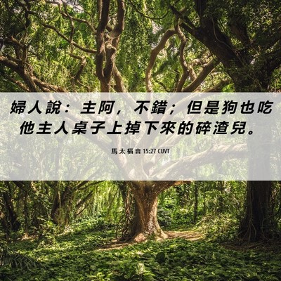 Picture 06 - 馬 太 福 音 15:27 CUVT - 婦 人 說 ： 主 阿 ， 不 錯 ； 但 是 - Bible Verse Picture