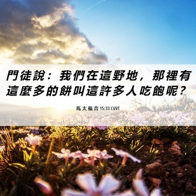 Picture 06 - 馬 太 福 音 15:33 CUVT - 門 徒 說 ： 我 們 在 這 野 地 ， 那 - Bible Verse Picture