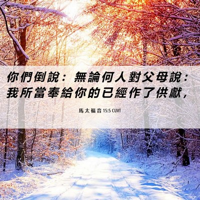Picture 06 - 馬 太 福 音 15:5 CUVT - 你 們 倒 說 ： 無 論 何 人 對 父 母 - Bible Verse Picture
