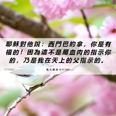 Picture 06 - 馬 太 福 音 16:17 CUVT - 耶 穌 對 他 說 ： 西 門 巴 約 拿 ， - Bible Verse Picture