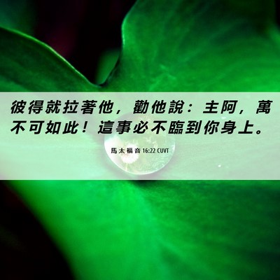 Picture 06 - 馬 太 福 音 16:22 CUVT - 彼 得 就 拉 著 他 ， 勸 他 說 ： 主 - Bible Verse Picture