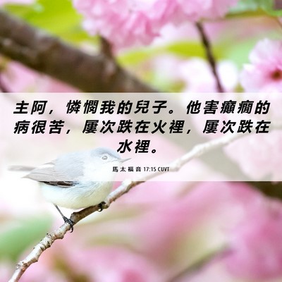 Picture 06 - 馬 太 福 音 17:15 CUVT - 主 阿 ， 憐 憫 我 的 兒 子 。 他 害 - Bible Verse Picture