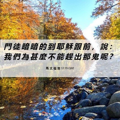 Picture 06 - 馬 太 福 音 17:19 CUVT - 門 徒 暗 暗 的 到 耶 穌 跟 前 ， 說 - Bible Verse Picture