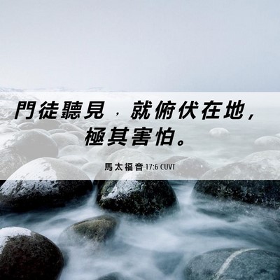 Picture 06 - 馬 太 福 音 17:6 CUVT - 門 徒 聽 見 ﹐ 就 俯 伏 在 地 ， 極 - Bible Verse Picture