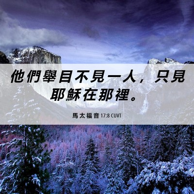 Picture 06 - 馬 太 福 音 17:8 CUVT - 他 們 舉 目 不 見 一 人 ， 只 見 耶 - Bible Verse Picture