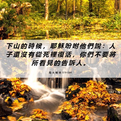 Picture 06 - 馬 太 福 音 17:9 CUVT - 下 山 的 時 候 ， 耶 穌 吩 咐 他 們 - Bible Verse Picture