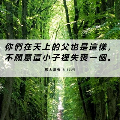 Picture 06 - 馬 太 福 音 18:14 CUVT - 你 們 在 天 上 的 父 也 是 這 樣 ， - Bible Verse Picture