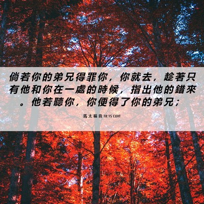 Picture 06 - 馬 太 福 音 18:15 CUVT - 倘 若 你 的 弟 兄 得 罪 你 ， 你 就 - Bible Verse Picture