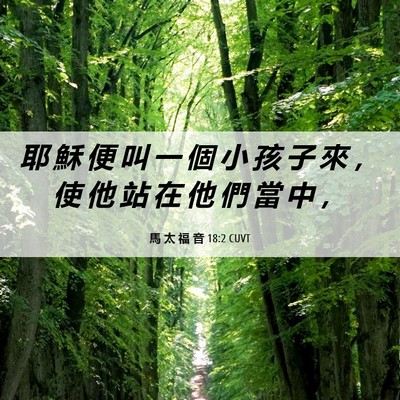 Picture 06 - 馬 太 福 音 18:2 CUVT - 耶 穌 便 叫 一 個 小 孩 子 來 ， 使 - Bible Verse Picture