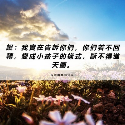 Picture 06 - 馬 太 福 音 18:3 CUVT - 說 ： 我 實 在 告 訴 你 們 ， 你 們 - Bible Verse Picture