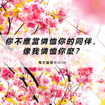 Picture 06 - 馬 太 福 音 18:33 CUVT - 你 不 應 當 憐 恤 你 的 同 伴 ， 像 - Bible Verse Picture
