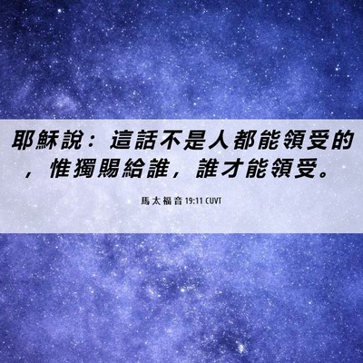 Picture 06 - 馬 太 福 音 19:11 CUVT - 耶 穌 說 ： 這 話 不 是 人 都 能 領 - Bible Verse Picture