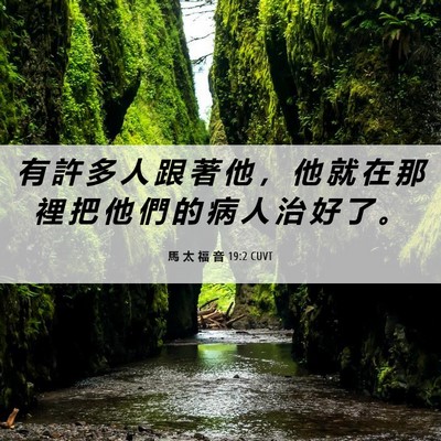 Picture 06 - 馬 太 福 音 19:2 CUVT - 有 許 多 人 跟 著 他 ， 他 就 在 那 - Bible Verse Picture