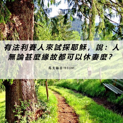 Picture 06 - 馬 太 福 音 19:3 CUVT - 有 法 利 賽 人 來 試 探 耶 穌 ， 說 - Bible Verse Picture
