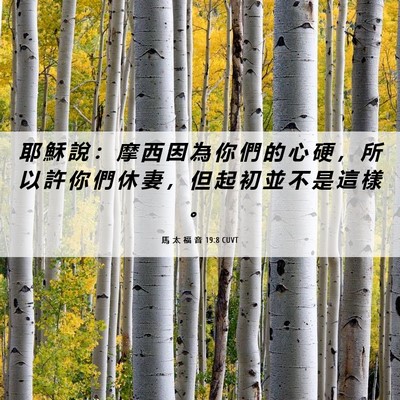 Picture 06 - 馬 太 福 音 19:8 CUVT - 耶 穌 說 ： 摩 西 因 為 你 們 的 心 - Bible Verse Picture