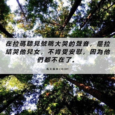 Picture 06 - 馬 太 福 音 2:18 CUVT - 在 拉 瑪 聽 見 號 咷 大 哭 的 聲 音 - Bible Verse Picture