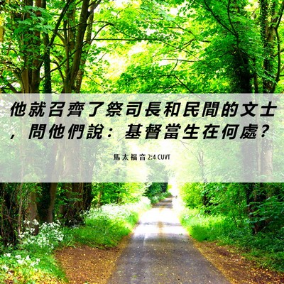 Picture 06 - 馬 太 福 音 2:4 CUVT - 他 就 召 齊 了 祭 司 長 和 民 間 的 - Bible Verse Picture