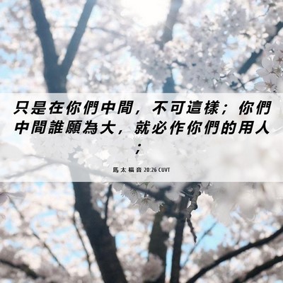 Picture 06 - 馬 太 福 音 20:26 CUVT - 只 是 在 你 們 中 間 ， 不 可 這 樣 - Bible Verse Picture