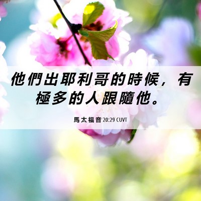 Picture 06 - 馬 太 福 音 20:29 CUVT - 他 們 出 耶 利 哥 的 時 候 ， 有 極 - Bible Verse Picture