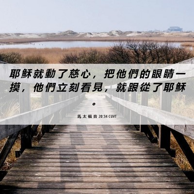Picture 06 - 馬 太 福 音 20:34 CUVT - 耶 穌 就 動 了 慈 心 ， 把 他 們 的 - Bible Verse Picture