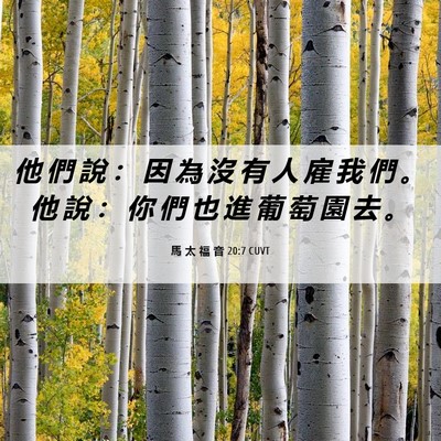 Picture 06 - 馬 太 福 音 20:7 CUVT - 他 們 說 ： 因 為 沒 有 人 雇 我 們 - Bible Verse Picture
