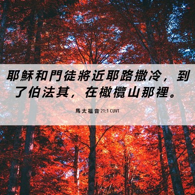 Picture 06 - 馬 太 福 音 21:1 CUVT - 耶 穌 和 門 徒 將 近 耶 路 撒 冷 ， - Bible Verse Picture